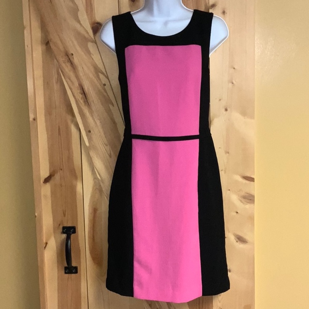 Banana Republic Strapless Pink & Black Dress with Lining & Back Zipper (Size 8)